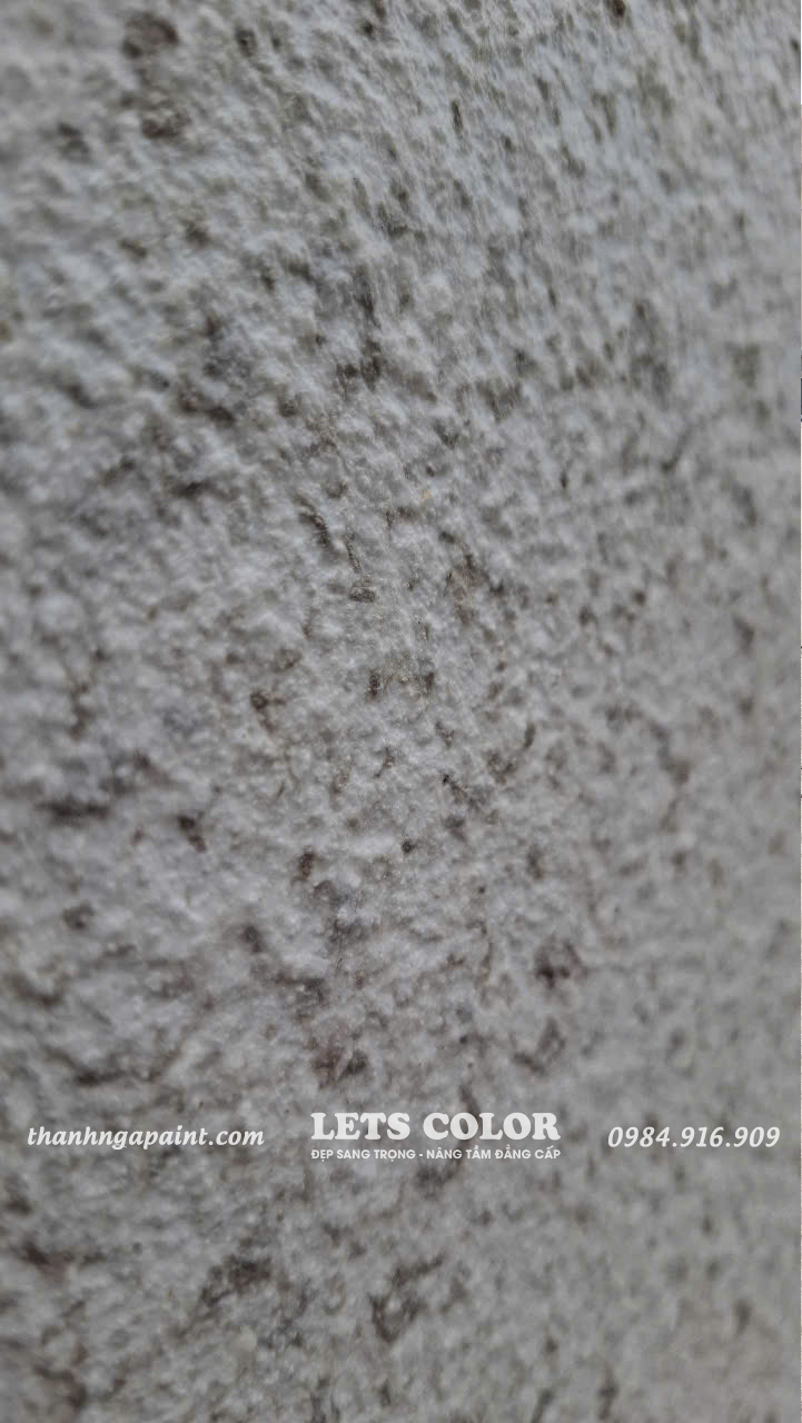 Sơn đá hoa cương cao cấp LetsColor Sơn đá hoa cương cao cấp LetsColor